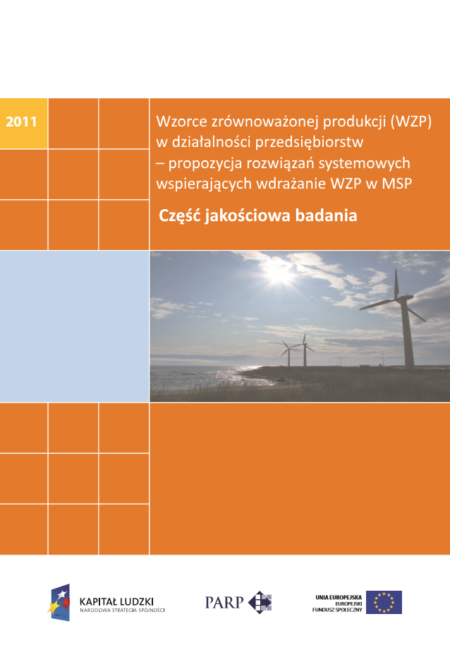 Wzorce zrównoważonej produkcji w działalności przedsiębiorstw – badanie jakościowe