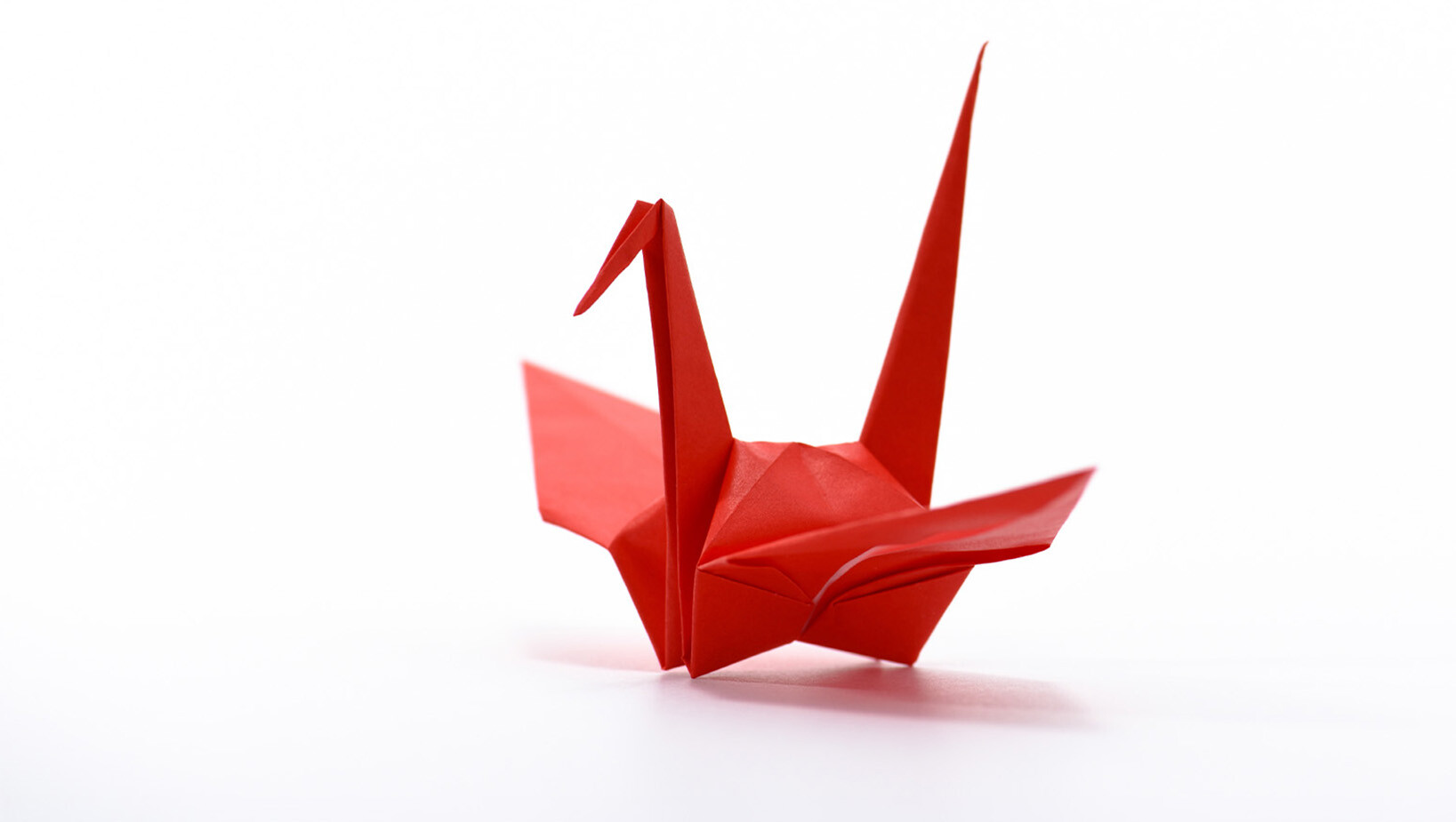 Czy Twoja firma jest gotowa na cyfrową przyszłość? Rozmowa z ekspertem 