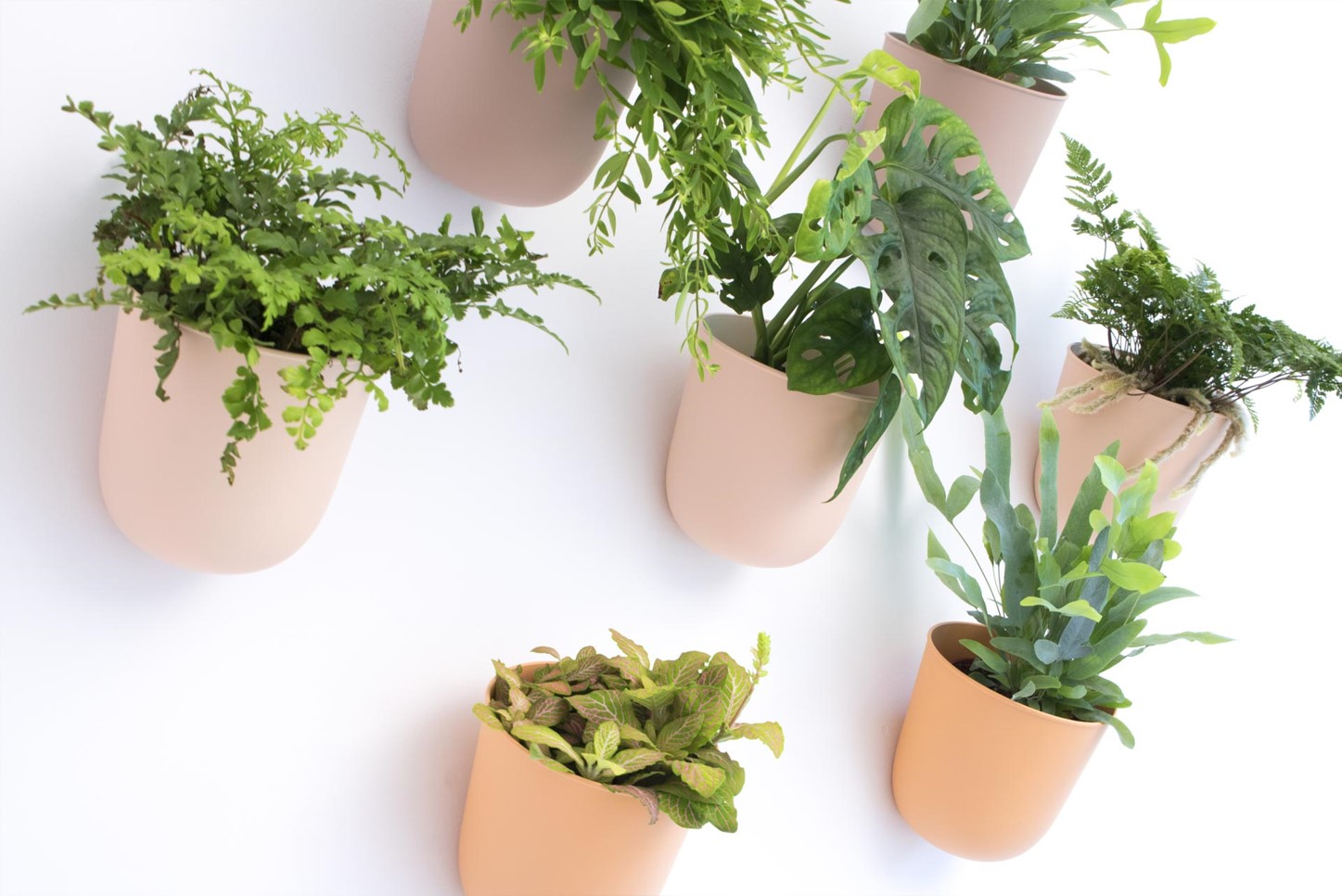 na białej ścianie wiszą przymocowane osłonki na doniczki w kolorze ceglanym. Osłonki wyglądaj jakby były przyklejone do ściany. W osłonkach są schowane rośliny, które tworzą ciekawe kompozycje na tle ściany
