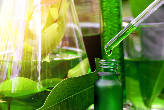 Poszukiwani partnerzy do wdrożenia wysokowolumenowej produkcji innowacyjnego produktu na bazie grzybni