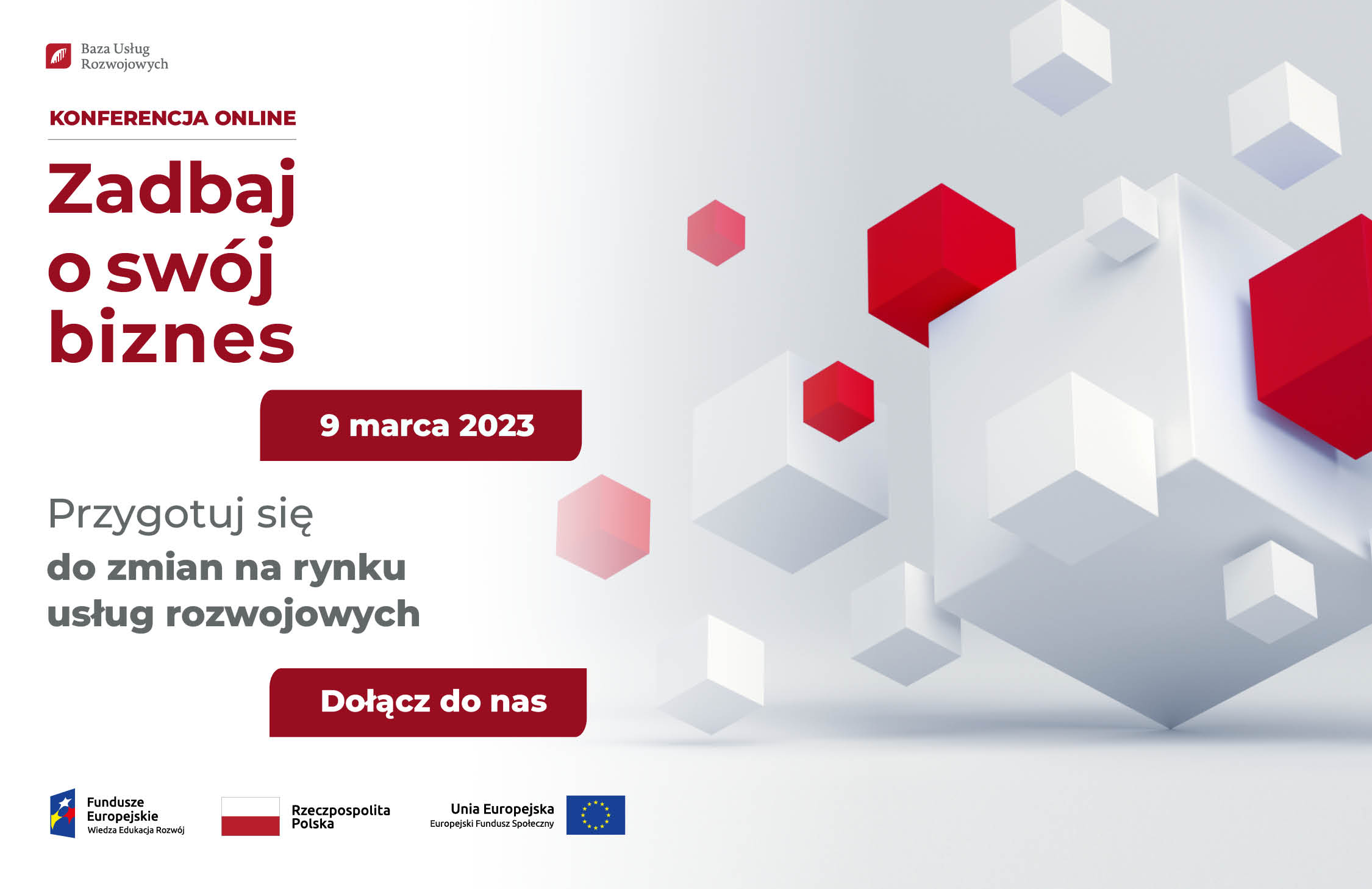 Baza Uslug Rozwojowych